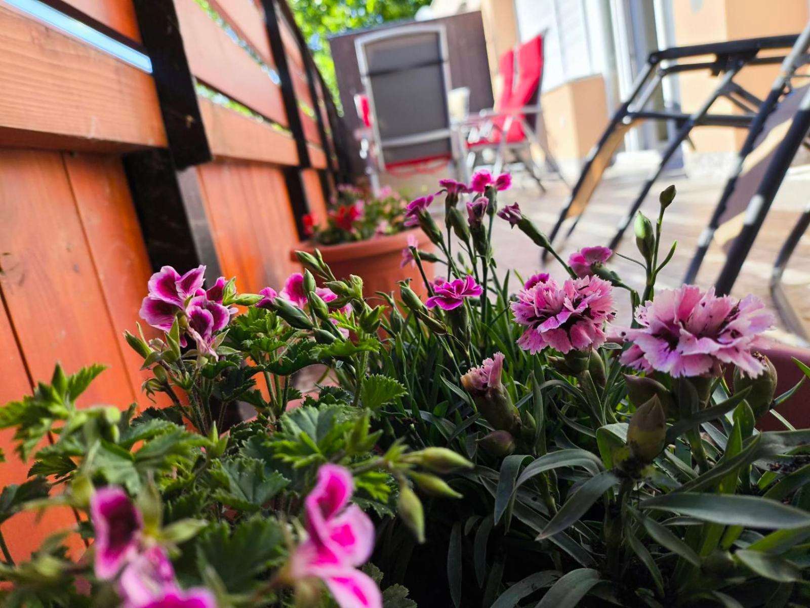 100 Lepes - 100 Steps - With Huge Terrace Next To The Thermal Bath Apartment Harkany