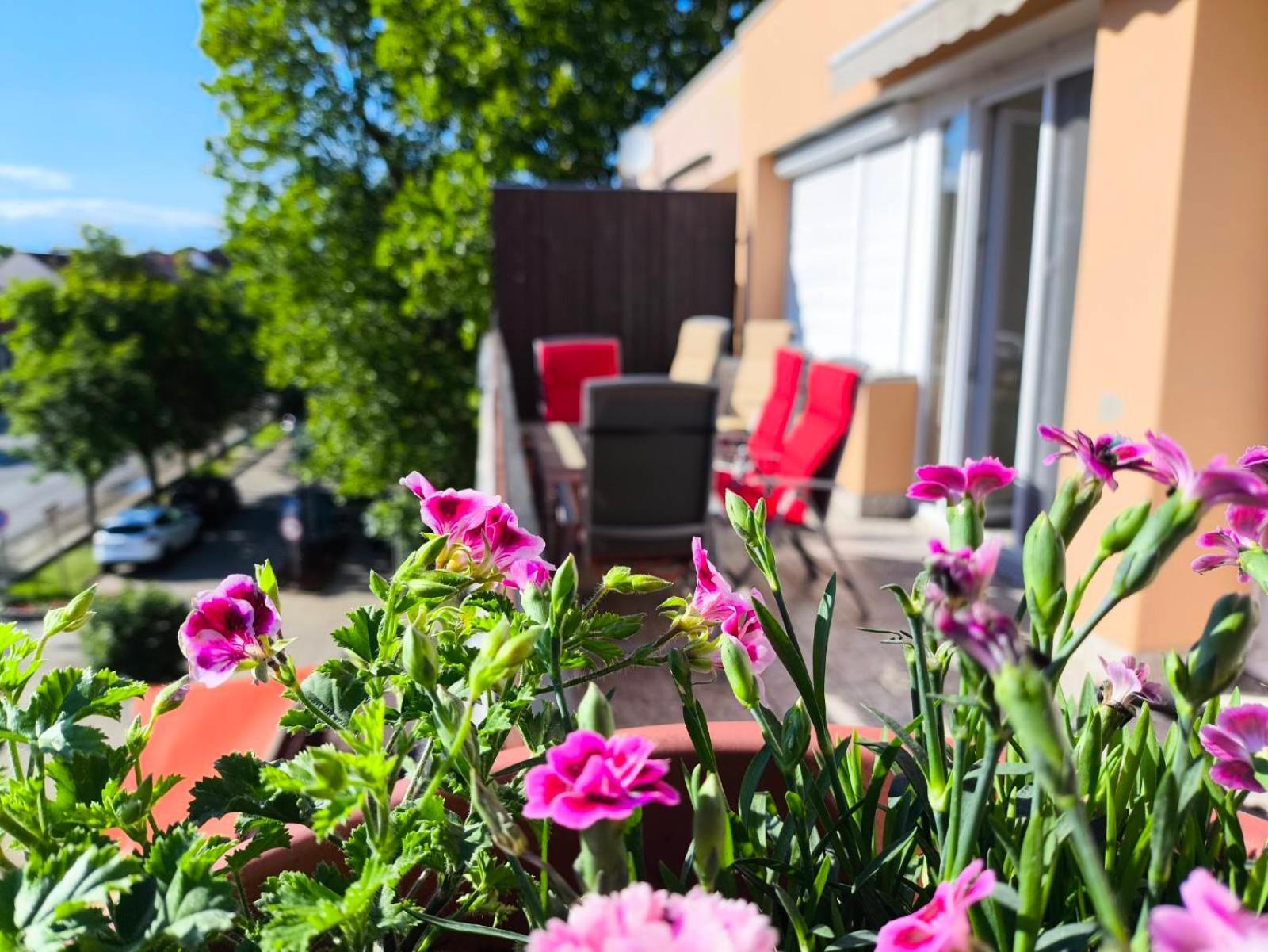 100 Lepes - 100 Steps - With Huge Terrace Next To The Thermal Bath *
